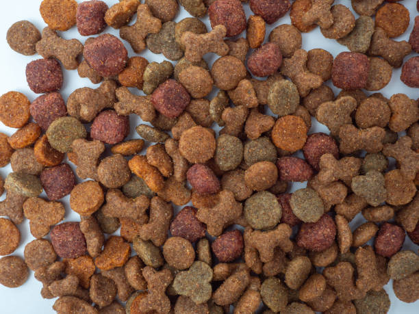 istock Dog food on a white background. 1693796487