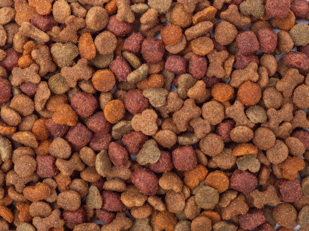istock Dog food on a white background. 1693797702