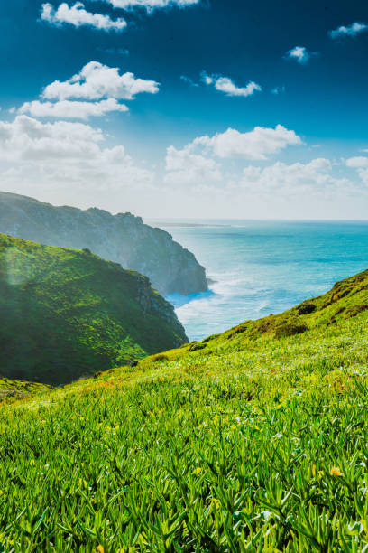 Cliffs and rocks covered green grass on the Atlantic ocean coast, Cabo da Roca, Portugal