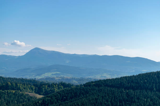 Mountain landscape with forest in the Carpathian mountains of Ukraine. stock photo