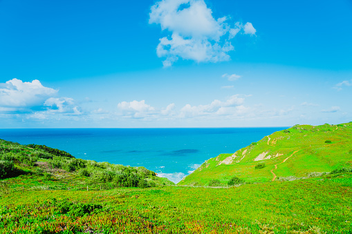 Cliffs and rocks covered green grass on the Atlantic ocean coast, Cabo da Roca, Portugal