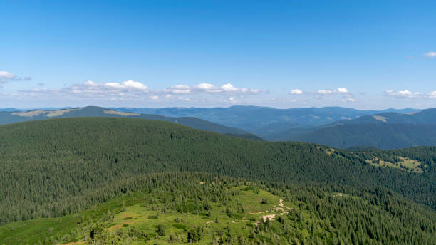 Mountain landscape with forest in the Carpathian mountains of Ukraine. stock photo