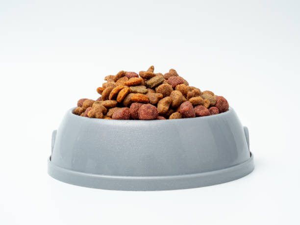 istock Dog food on a white background. 1693801335