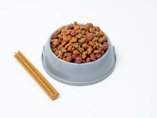 istock Dog food on a white background. 1693802538