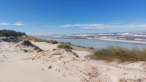 istock sand dunes on the coast of the beach 1693808144