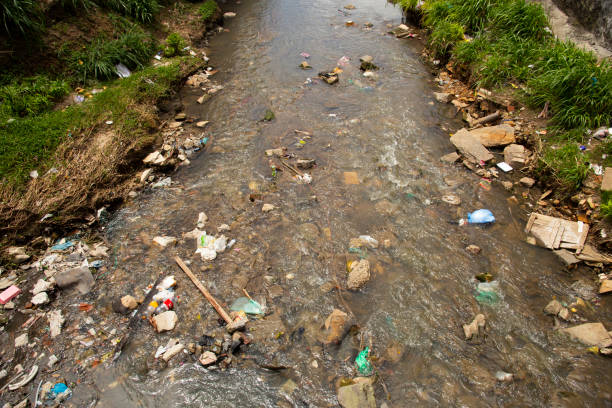 istock Plastic garbage in a polluted river in Brazil 1693828451