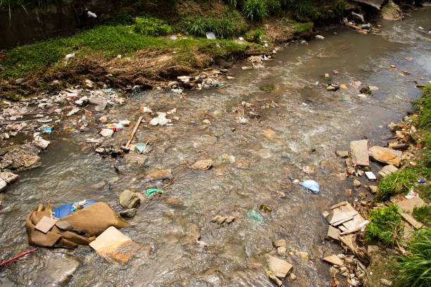 istock Plastic garbage in a polluted river in Brazil 1693828487