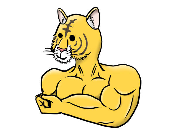 illustrazioni stock, clip art, cartoni animati e icone di tendenza di mascular della tigre - mascular