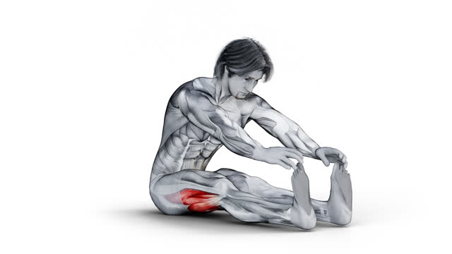 Muscular man character with dimensional shadow training Hamstrings Stretch workout - 3d render