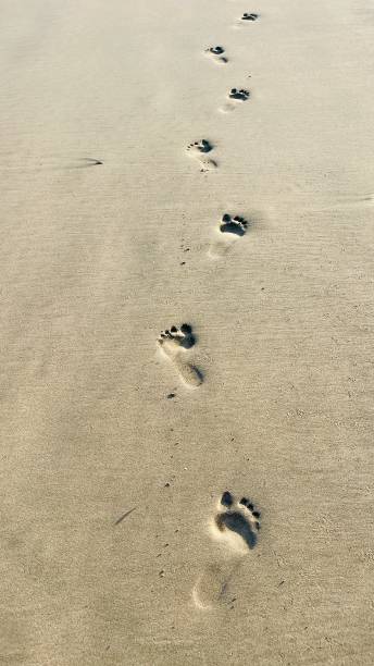 istock Footsteps in the sand at Jimbaran beach Bali 1693852090