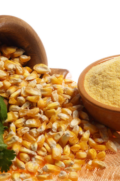 istock Dried Maize ground to powder 1693871431