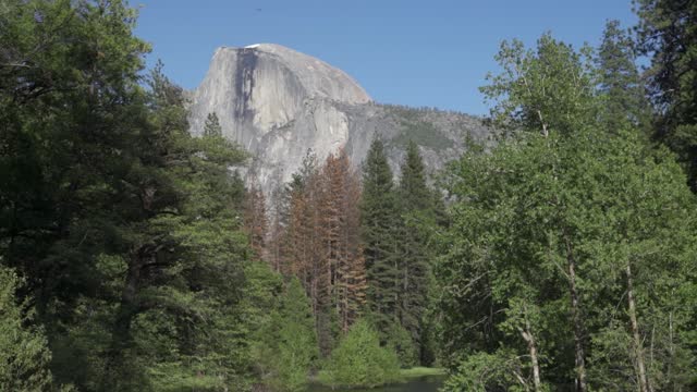 Half Dome a quartz monzonite batholith at the eastern end of Yosemite Valley in Yosemite National Park, California