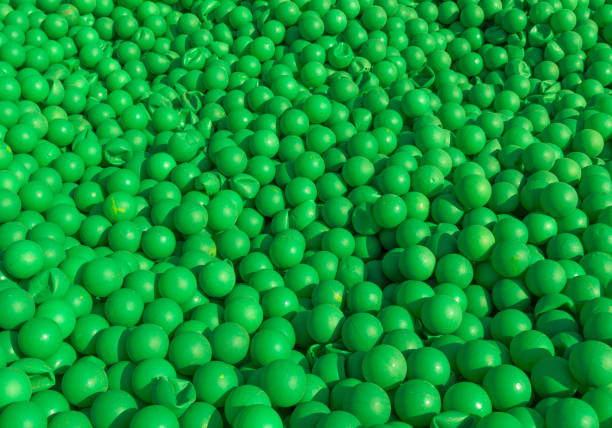 Abstract background of blue balls.