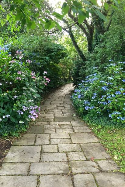 istock Trail with flowers on the side, no people 1693923577