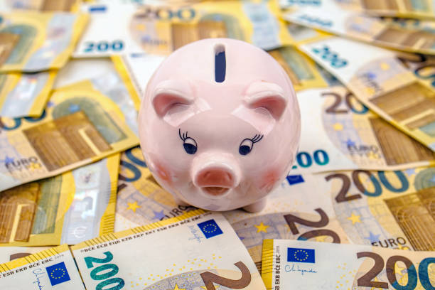 istock Piggy Bank with Euro Bills 1693929727