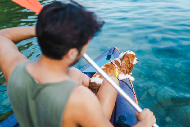 istock Adult man enjoys kayaking with his dog 1693949585