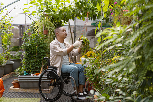 Small business owner - Portrait of a disabled Malay man with his plants within a small greenhouse