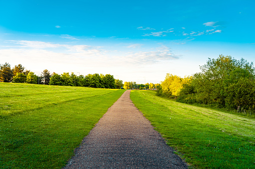 Pathway in Green Park