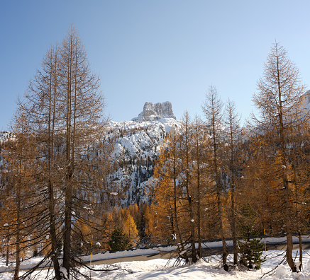 View of the 5 Torri in Cortina d'Ampezzo, Veneto, Italy, Europe, on a sunny day in autumn with the colors of the foliage. Chain with characteristic peaks, wooded areas and lakes, a popular destination for trekking, snowshoeing, walking and cycling.