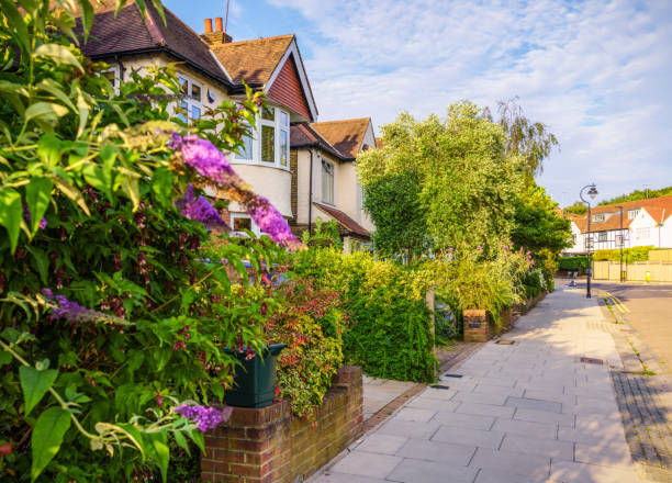 Semi detached houses on a residential street in North London, photographed in July.