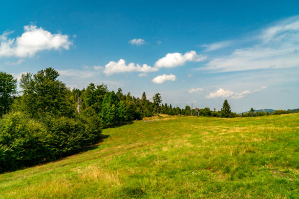 istock On the tourist trail. 1694021283