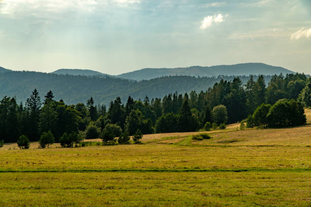 istock On the tourist trail. 1694021861