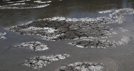 Water and Drought in the Marshes of Camargue, in the South East of France