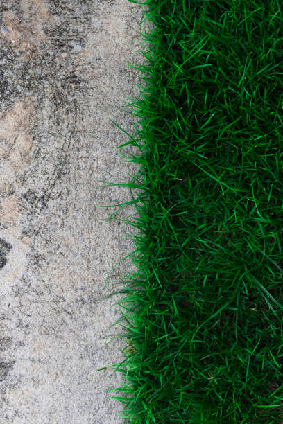 istock Concrete road with green grass 1694052564