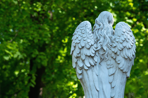 Back viwe of white beautiful angel with wings against green forest. Ancient stone statue. Copy space for design or text.