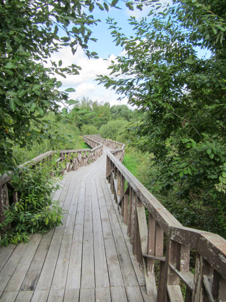 istock Wooden winding walking eco-trail through deciduous trees in a public park. 1694101520