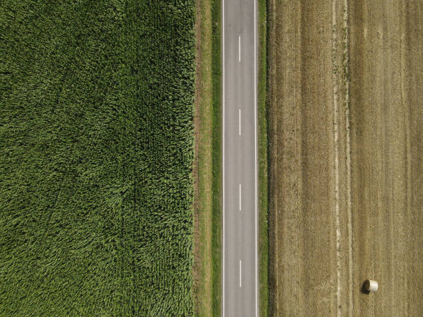 istock Road between agriculture fields in the landscape 1694115538