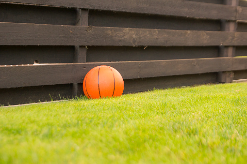 Basketball on the grass to the fence. Photographed in Lithuania. Warm autumn day.