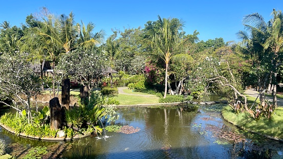 Tropische tuin