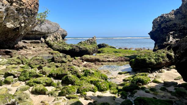 istock Tropical beach at Bali Indonesia 1694158838