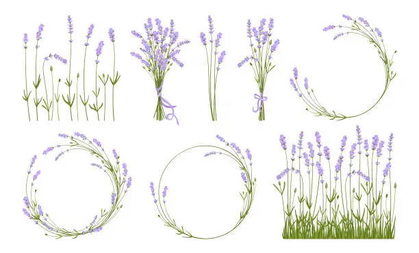 Vector illustration of Lavender flowers branch bouquet herbal design set wedding monogram art wreath elegant rustic frame