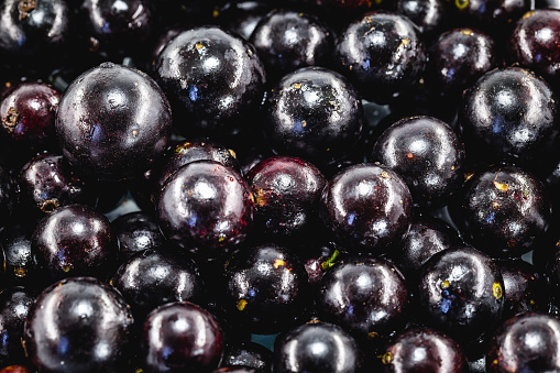 The jabuticaba or jaboticaba is the fruit of the jaboticabeira or jabuticabeira, a Brazilian fruit tree of the mirtaceae family, native to the Atlantic Forest.