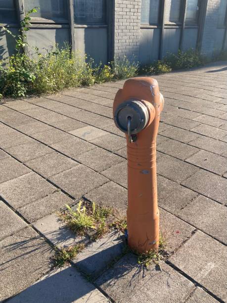 istock An orange scratched double fire hydrant in Amsterdam on a grassy sidewalk. 1694181654
