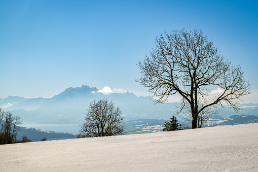 Incredible view on Mount Pilatus and Vierwaldstattersee from top of Zugerberg in Switzerland during the winter