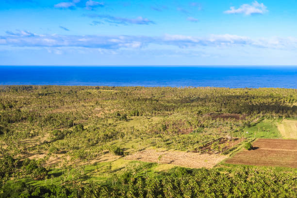 survol de champs et de terres agricoles au bord de l’océan aux tonga - vavau islands photos et images de collection