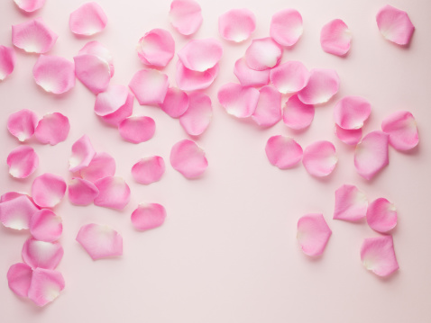 Dry Rose Buds, Roses Petals for Pink Flower Tea, Dried Persian Rosebuds, Rose Buds Textured Flowers on Black Stone Plate Background