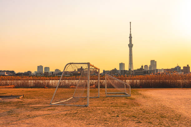 아라카와 리버 베드, 일본 도쿄 - landscape sky tree field 뉴스 사진 이미지