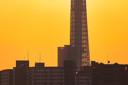 Tokyo Sky Tree in silhouette and Tokyo cityscape in the sunset