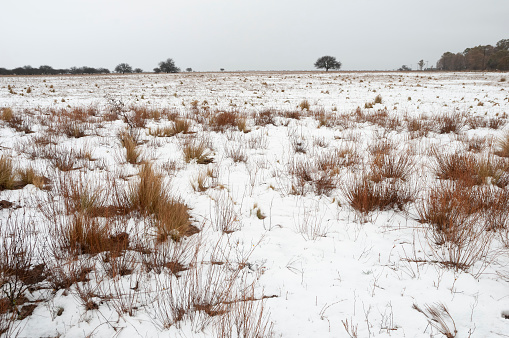 Snowy landscape in rural environment in La Pampa, Patagonia,  Argentina.