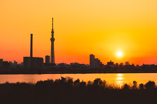 Tokyo Sky Tree in silhouette and Tokyo cityscape at sunset