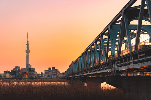 Tokyo urban landscape from Arakawa riverbed at night