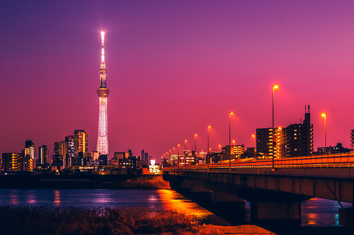 Tokyo urban landscape from Arakawa riverbed at night