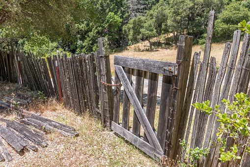 A wooden fence with a gate is in a country setting. The fence has lots of moss growing on it. There are trees behind the fence.