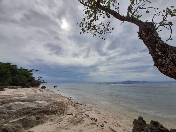 istock Tranquil Shore Amidst Natural Beauty 1694332264