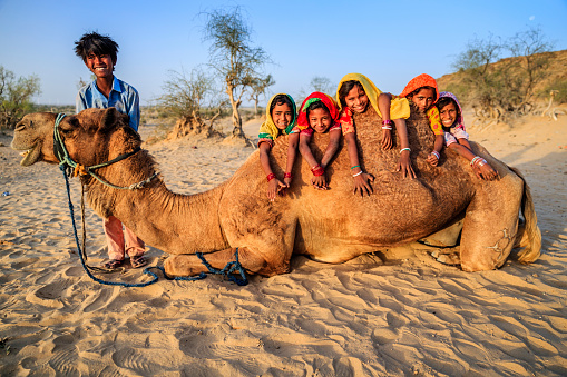 Group of happy Gypsy Indian children having fun with camel - desert village, Thar Desert, Rajasthan, India.