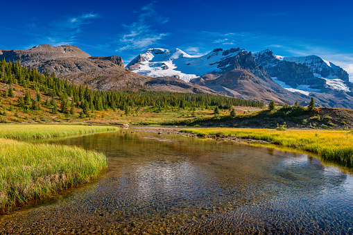 Landscape with Mount Athabasca at the Columbia Icefield, Canadian Rockies, Alberta, Canada.